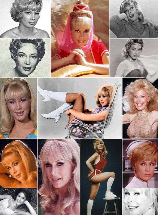 Barbara Eden: A Beloved Hollywood Icon Who Defies Age and Embraces Life